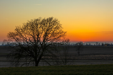 Tramonto in Campagna Novara, Piemonte