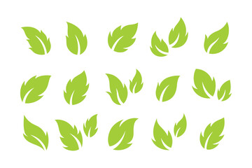 set of bright green green leaves vector illustration