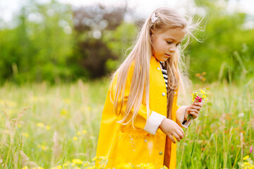 Happy little girl picking wild flowers in the meadow. Summer seasonal outdoor activities for kids. Child explores nature.