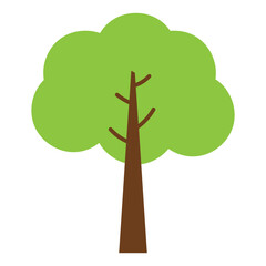 Tree Illustration