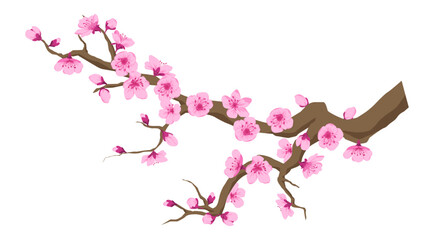 Branch with sakura flowers, cherry blossom vector