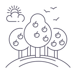 Apple trees in garden or orchard, harvesting farm