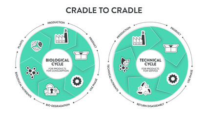 Cradle to Cradle cycle diagram infographic banner template with icon vector has production, product, use phase, bio degradation, biological nutrients and plants. Ecology and Environment concepts.