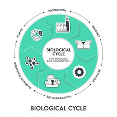 Biological cycle for product, consumption diagram infographic banner template with icon vector has production, product, use phase, bio degradation, biological nutrients and plants. Environment.