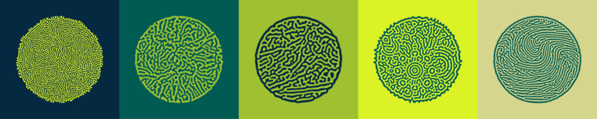 Diffusion Reaction Vector Circular Shape. Black and White Organic Shapes, Lines Pattern. Abstract Illustration