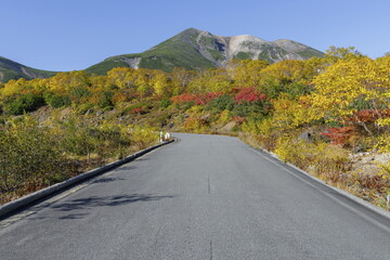 乗鞍エコーライン_位ヶ原の紅葉と剣ヶ峰