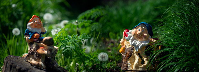 Meadow with dandelions.Fairy gnome among dandelions.The forest wizard collected mushrooms.