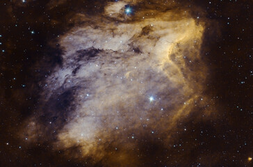 Pelican nebula SHO