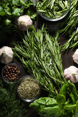 Seasoning and spices, rosemary, concept of seasoning
