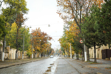 Rainy, autumn, city park in the morning