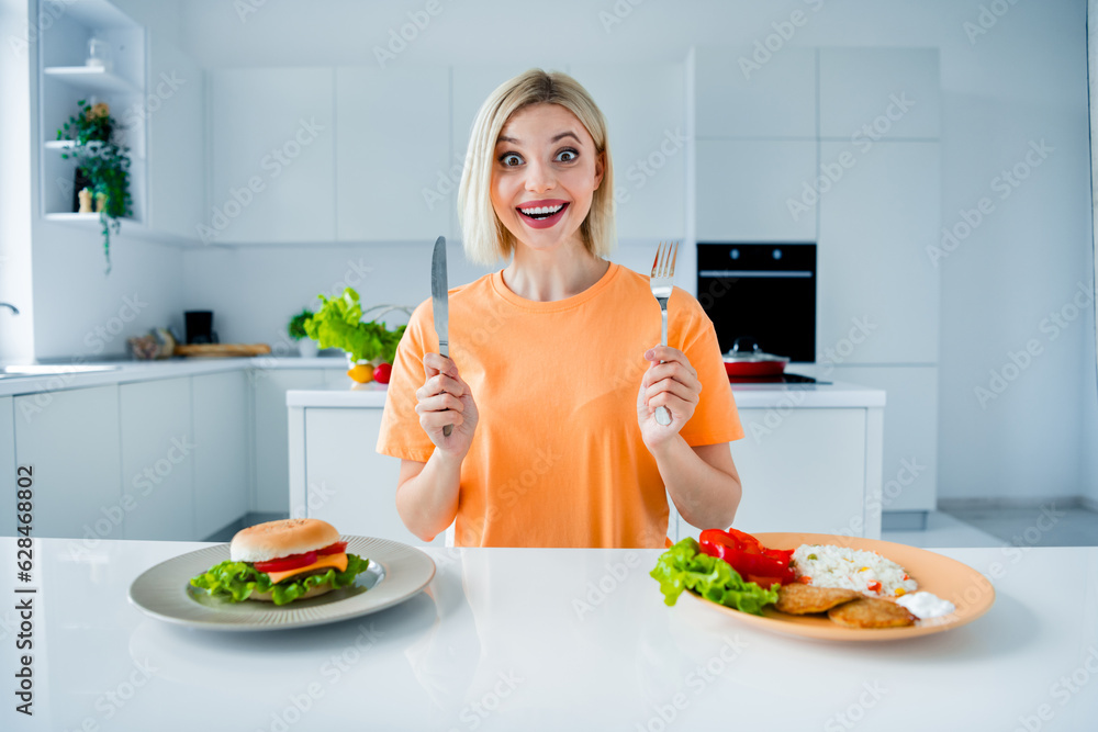 Sticker Photo of astonished charming girl hands hold knife fork rice meat vegetable burger plates kitchen table apartment indoors