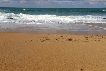 Sandy beach on the Mediterranean Sea