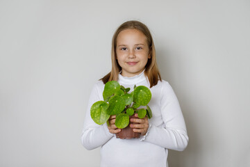 Environmental protection concept. Cute child girl holding green plant Pilea peperomioides in her hands on white background