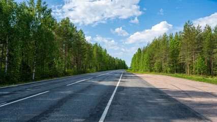 Fototapeta premium Empty asphalt road in the coniferous forest