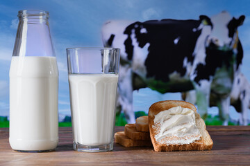 bottle and glass with milk, toast with cream cheese on a wooden table, cow in a pasture in the background