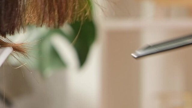 Hair cutting at home. Barber shop at home. A man cuts long female hair with a clipper. Cutting dry split ends of hair.