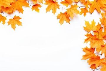 Abstract red maple leaf. Beautiful autumn nature on white background. Artistic fall design with copy space