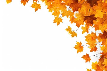 Abstract red maple leaf. Beautiful autumn nature on white background. Artistic fall design with copy space