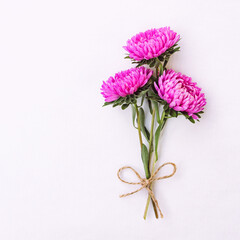 Bright cute bouquet of asters isolated on white background