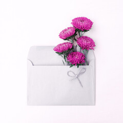 Bright cute bouquet of asters in an envelope isolated on a white background