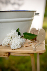 Washing in the garden - basin with water, clothespins, linen, rope