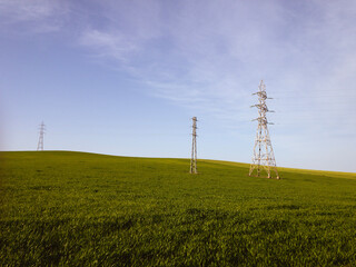 lines in the field