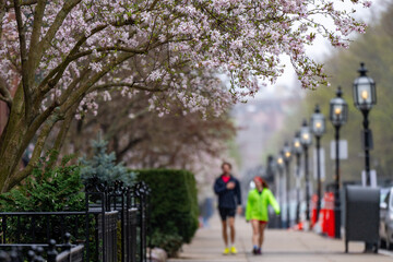 Obraz premium Boston in spring
