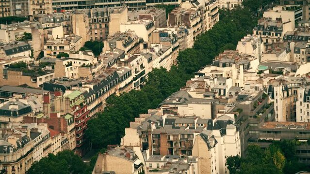 View from above of a green steet with residential buildings and classic roofs in Paris, France
