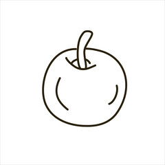 Vector line doodle illustration of an apple.
