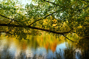 Fototapeta premium autumn in the park with reflection