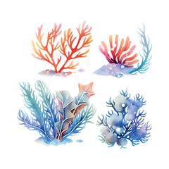 Fototapeta premium Seaweed watercolor. Vintage botanical illustration. Vector decoration. Hand drawn sketch.