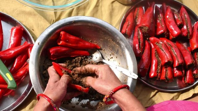 Preparing homemade stuffed red chilli pickle or laal mirchi ka Achar or Loncha.