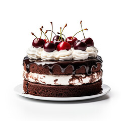 Delicious Black Forest Cake isolated on white background 