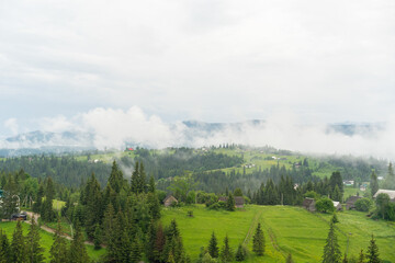 Summer in the Mountains: The Splendor of Carpathian Landscapes