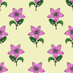 Clematis flower, color pattern on yellow , for printing, for tableware, for office fabric and other things.