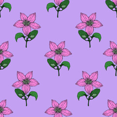 Clematis flower, color pattern on purple , for printing, for tableware, for office fabric and other things.