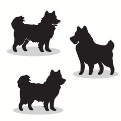 American Eskimo Dog silhouettes and icons. Black flat color simple elegant American Eskimo Dog animal vector and illustration.
