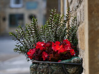 Flower pot on the house wall