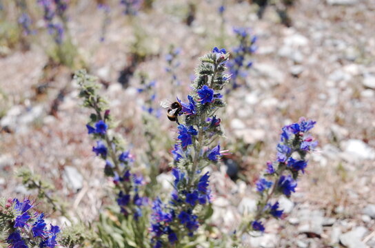 unrealistic scenery of lake