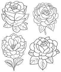 rose,in hand drawn style