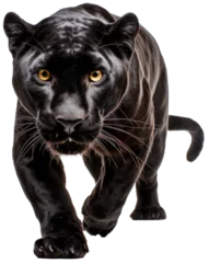 Foto op Plexiglas Sneaking black panther isolated on white background as transparent PNG © Flowal93