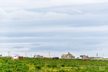 views of John o' Groats and it's surroundings, Scotland