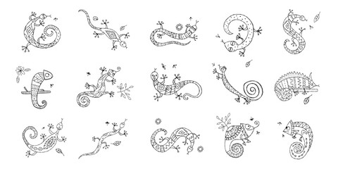 Lizard characters, jungle animal. Chameleon icons set for your design. Colouring page