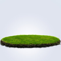 Isolated nature green grass 3d illustration
