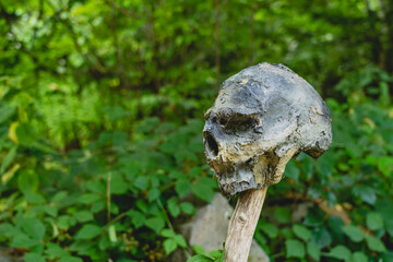 Skulls impaled in a deserted forest.