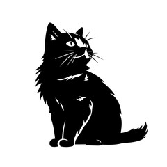 Sweet Cat Looking Up