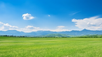 Fototapeta na wymiar field and blue sky with clouds background