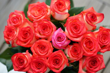 bunch of roses