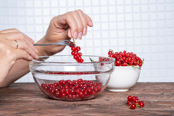 Women's hands separate the red currant berries from the brushes with a fork. A woman puts red currants in a bowl.