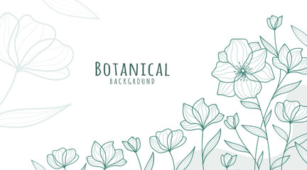 Botanical Line Art Background, Botanical Background, Leaves and Flower Background